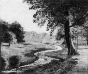 Bachlauf Durch Wald Und Wiesen by Heinrich Boehmer