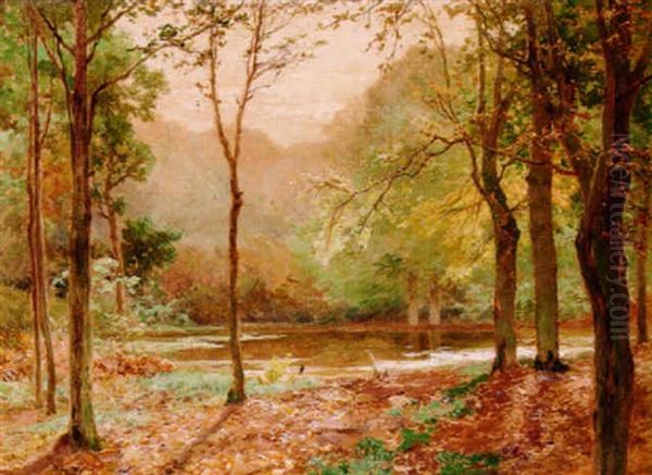 A Woodland Pool - view 1