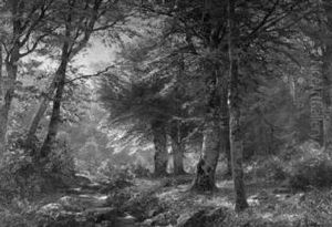 Lichtdurchfluteter Sommerlicher Laubwald Mit Rehen