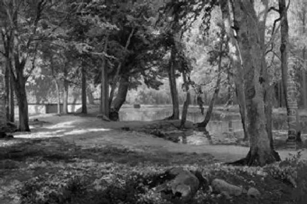 Waldandschaft Mit Teich Und Haus - view 1