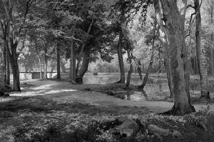 Waldandschaft Mit Teich Und Haus