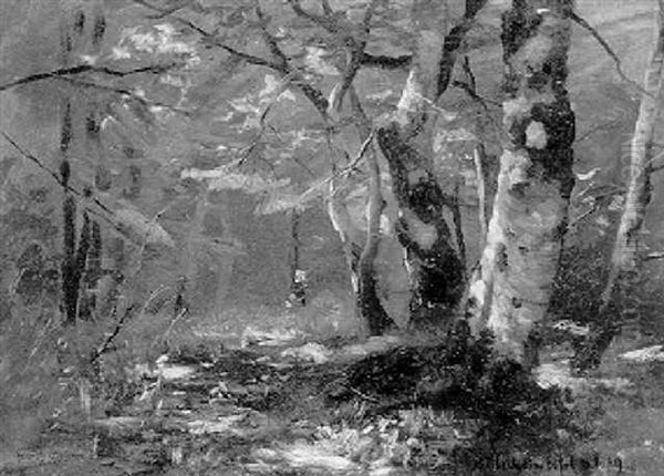 Waldinneres - view 1