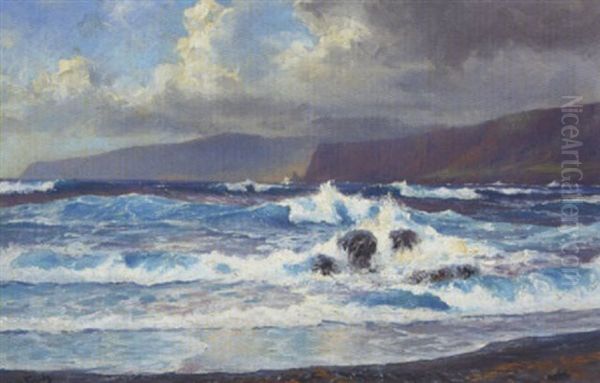 Kystparti, Tenerife - view 1