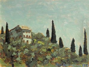 Cypress Trees On A Hill