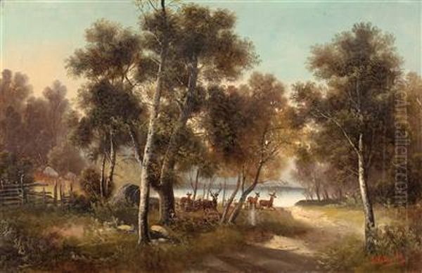 "aufgeschrecktes Rotwild" - view 1