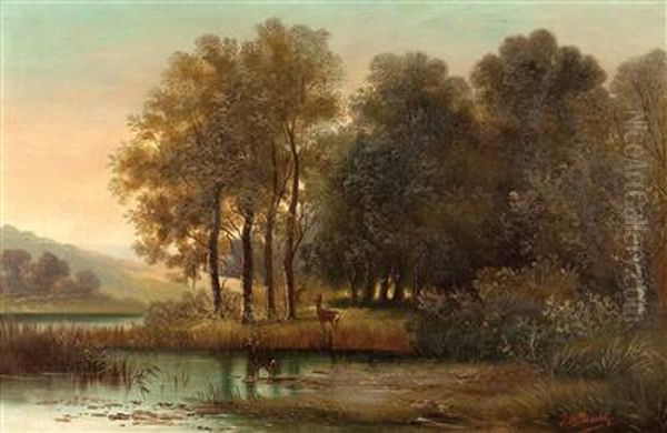 "rotwild Am Seeufer" - view 1
