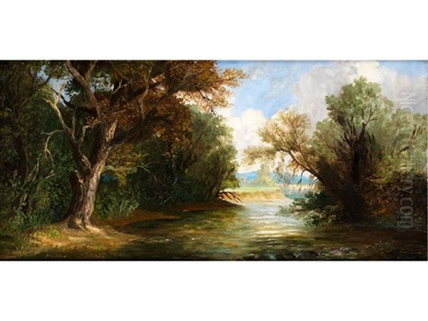 Sommerliche Flusslandschaft - view 1