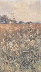 Sumpfwiese Im Sommer by Charles Edouard du Bois
