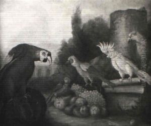 Stilleben Mit Fruchten Und Exotischen Vogeln