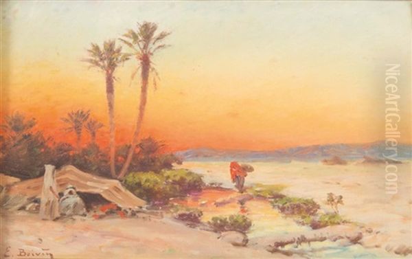 Vue De Raz El Guerria A Biskra - view 1