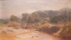 Paysages Du Midi