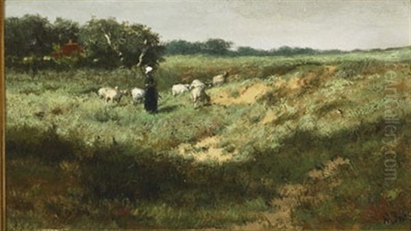 Der Kroniek - view 1