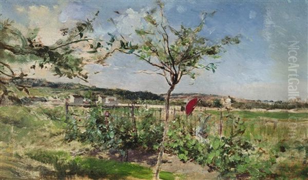 Summer Meadow - view 1
