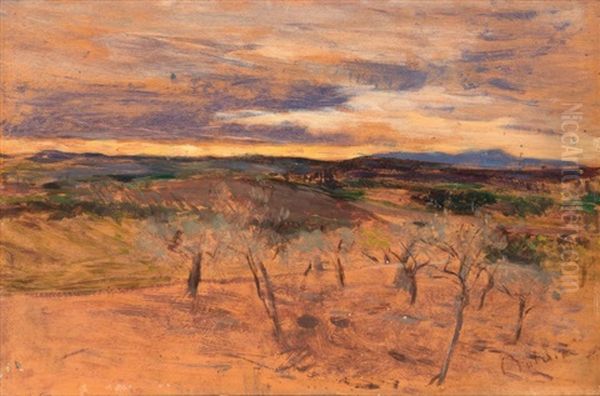 Campagna Al Tramonto - view 1