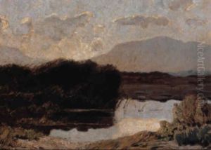 Chiemseemoor by Ludwig Bolgiano