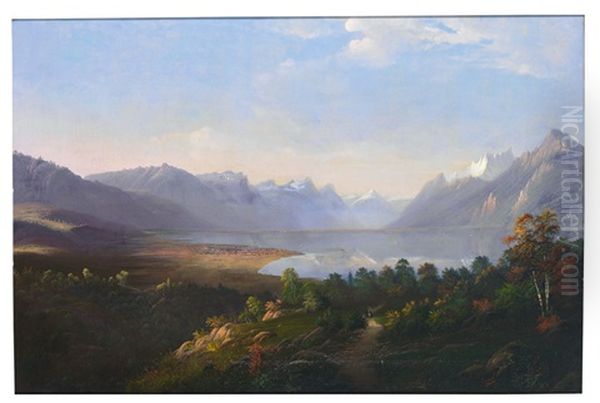 Blick Uber Den Genfer See Auf Genf Und Alpenpanorama - view 1