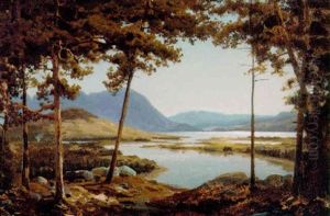 Parti Fra Ringerige by Reinholdt Fredrik Boll