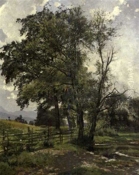 Landscape - view 1