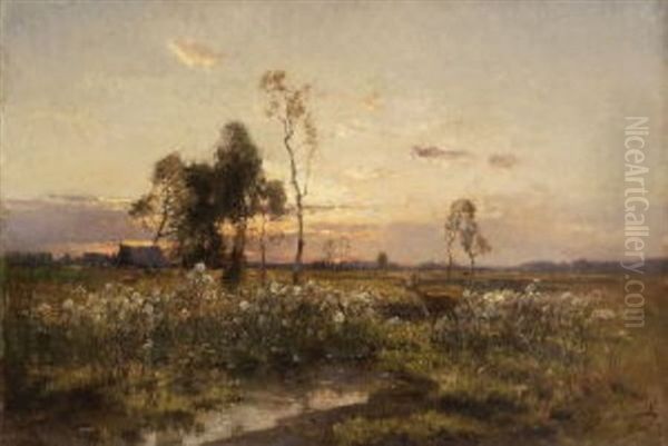 Moorlandschaft - view 1