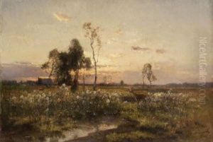 Moorlandschaft