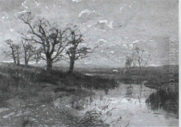 Moorlandschaft - view 1
