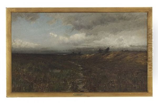 Storm Clouds Over The Marsh - view 1