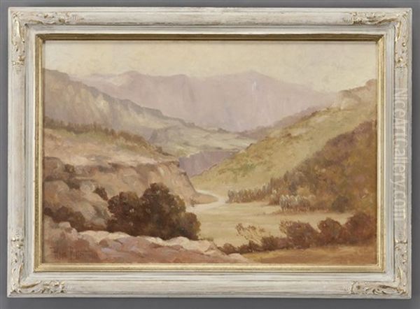 Canyon Landscape - view 1