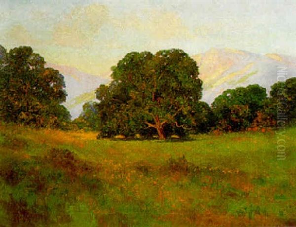 Landscape - view 1