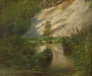 Waldweiher Mit Sumpfpflanzen by Carl Bolze