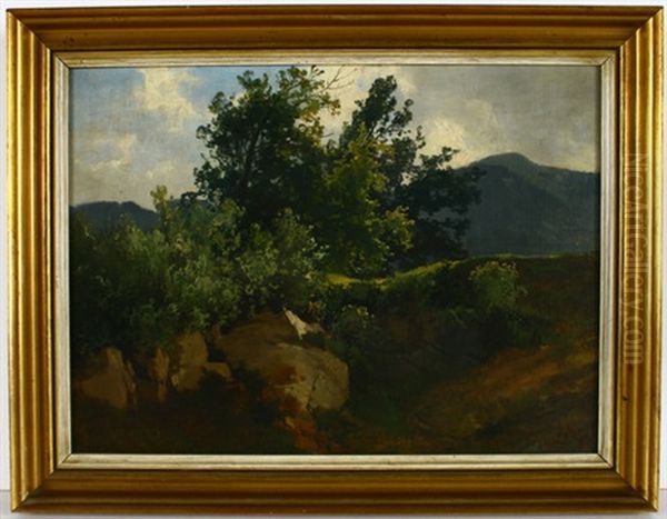 Felsboschung Mit Blick Auf Vorgebirgslandschaft - view 1