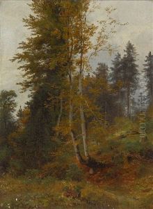 Gebirgswald by Carl Bolze