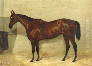 Three Horse Studies