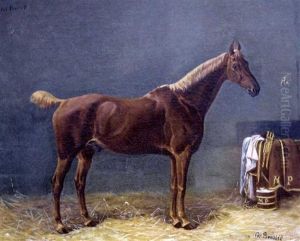 "petit Poucet"