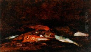 Assorted Fish by Maurice Bompard