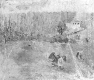 Contadini