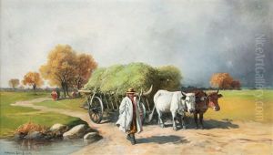 Ochsengespann Auf Der Landstrase