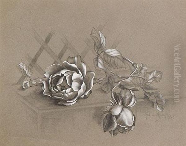 Flores - view 1