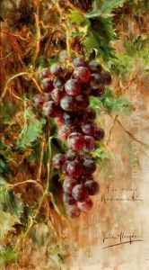 "uvas" by Julia Alcayde Montoya
