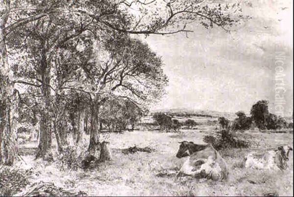 Sefton Church - view 1