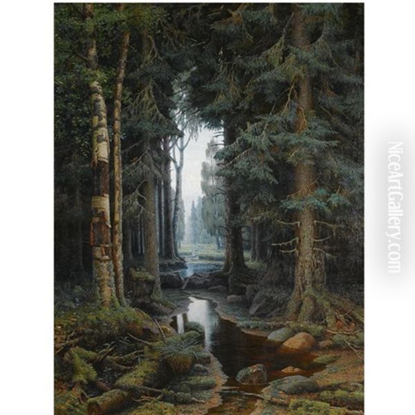 Forest Scene - view 1