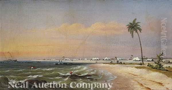 Running Ashore On The Florida Coast - view 1