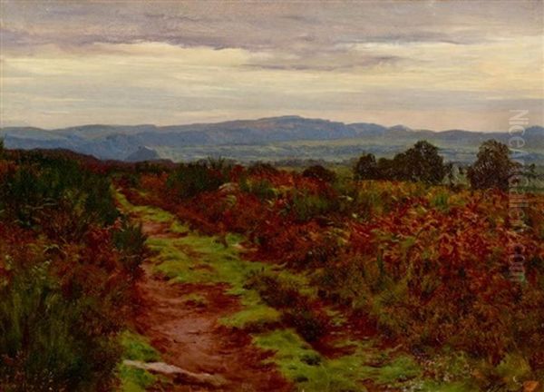 Paysage Aux Bruyeres - view 1