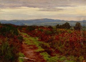 Paysage Aux Bruyeres Paysage Aux Bruyeres