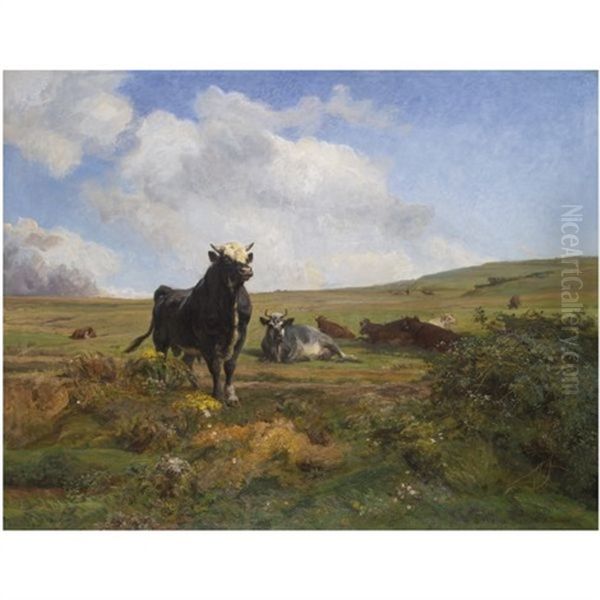 Leader Of The Herd - view 1