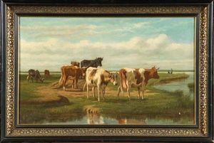 Vaches Au Bord De L'eau En Hollande