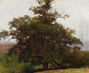 Chene En Auvergne (study) by Auguste Bonheur