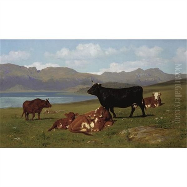 Cattle Grazing On A Hillside With A Lake In The Near Distance - view 1