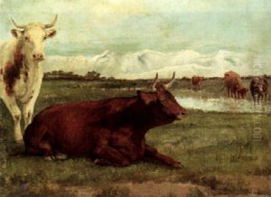 Bulls Resting by Auguste Bonheur