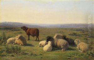 Ruhende Schafe Auf Der Weide by Juliette Peyrol Bonheur