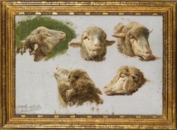 Sheep Heads (study) - view 1